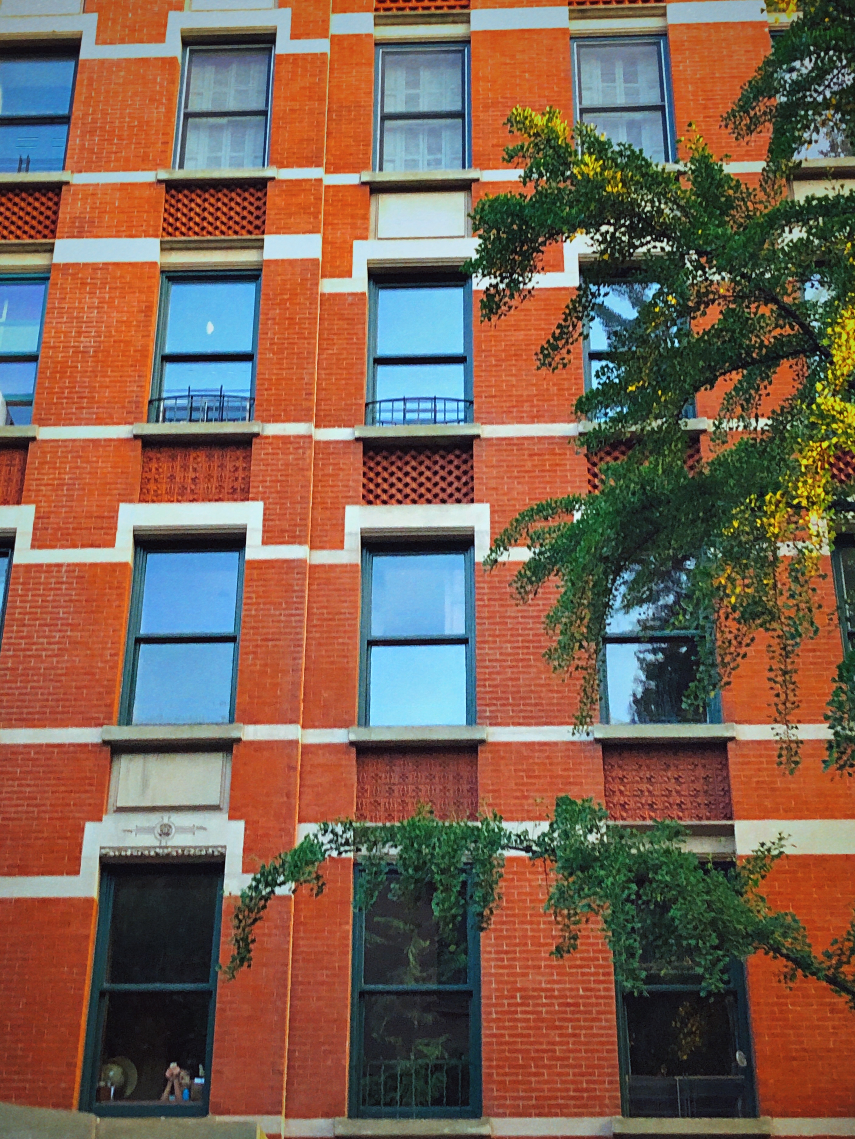 windows