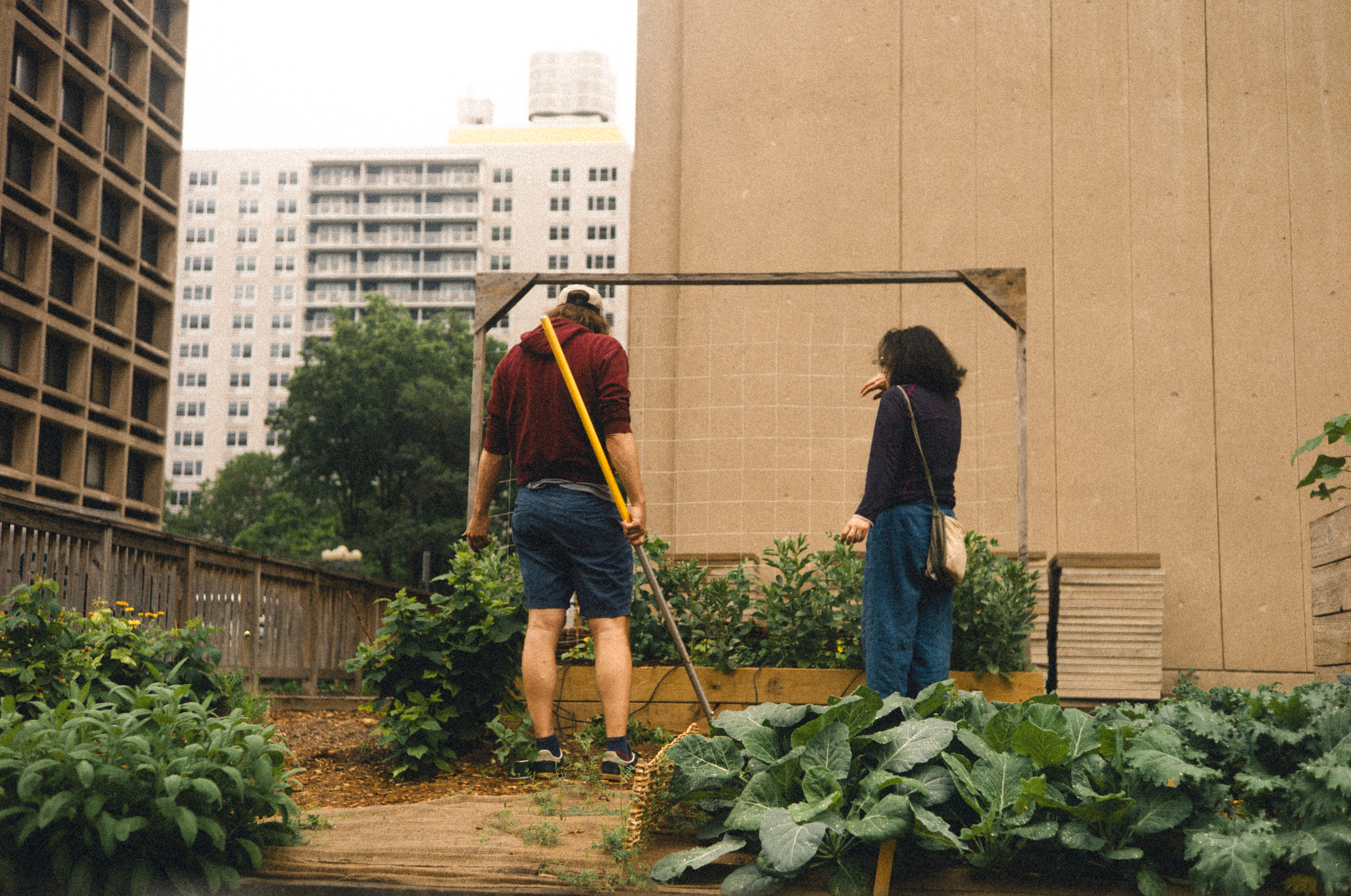 leica-M9p-rollei-40-9986236