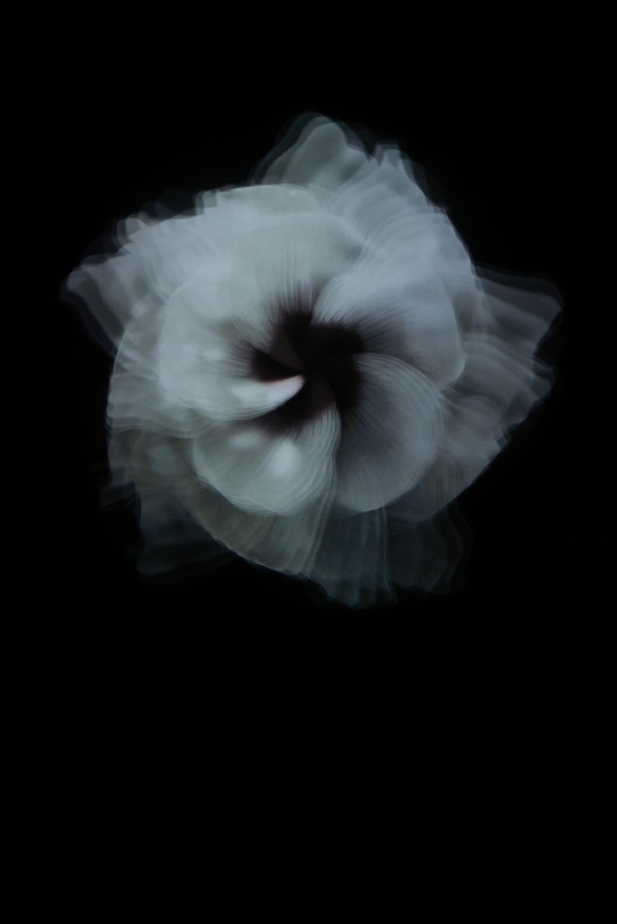 pentax_k1ii_fa31-2419