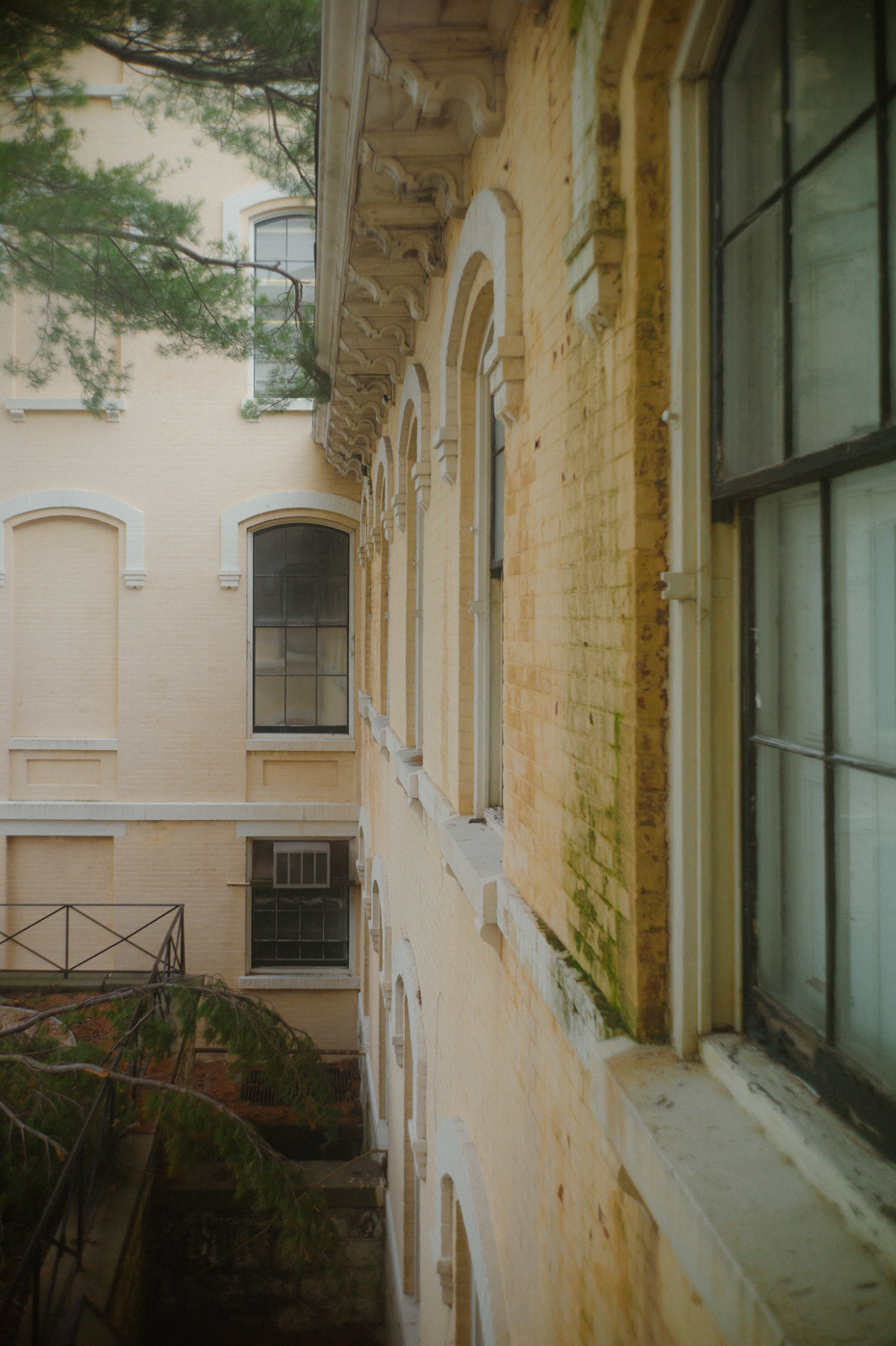 Canon28LTM-LeicaM9-9986774