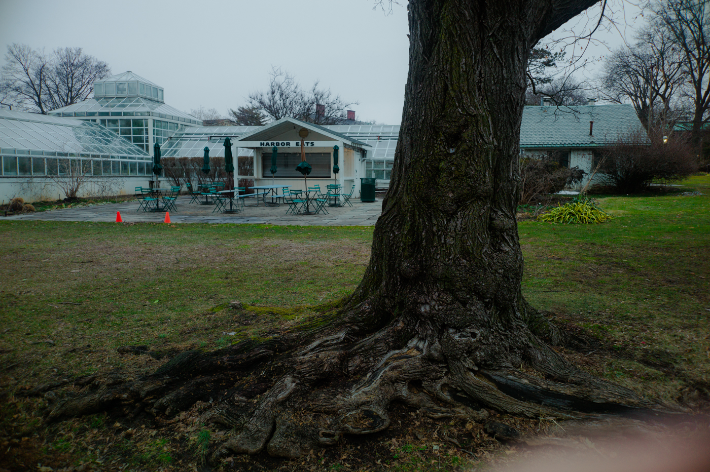 Canon28LTM-LeicaM9-9986826