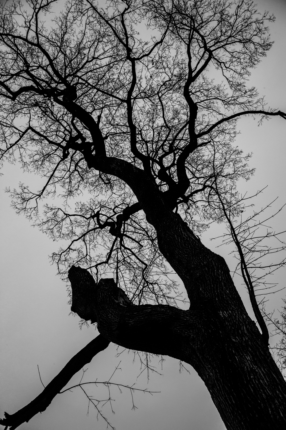 Canon28LTM-LeicaM9-9986827