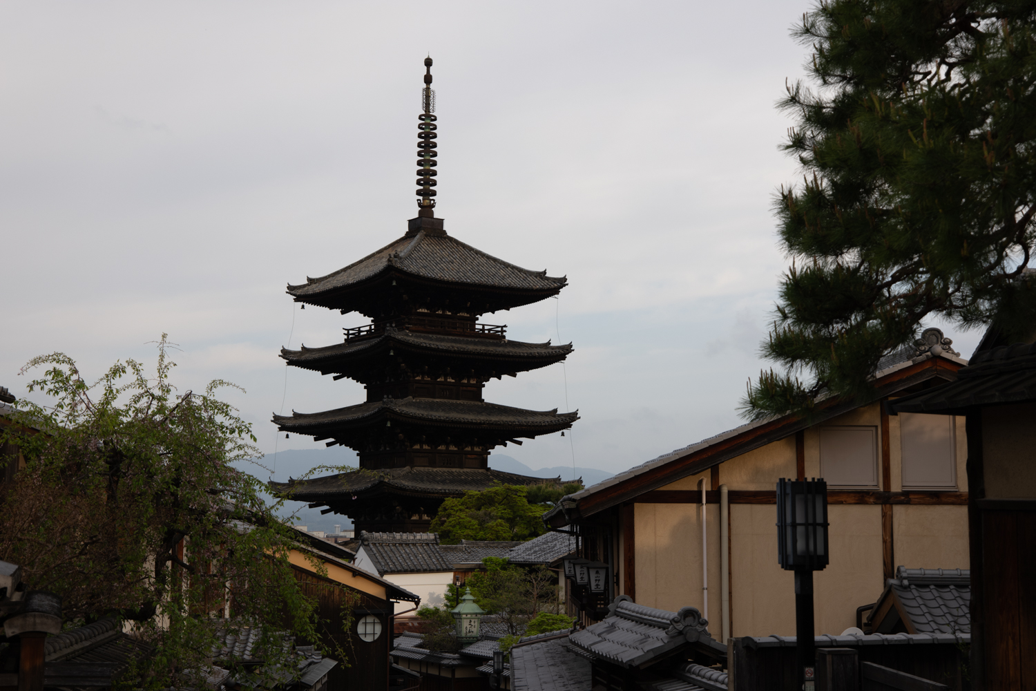 leica_cl_1856-1040643