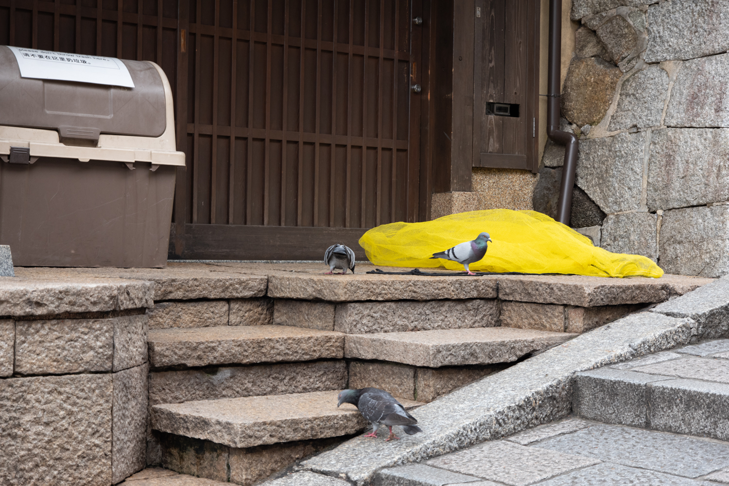 leica_cl_1856-1040691