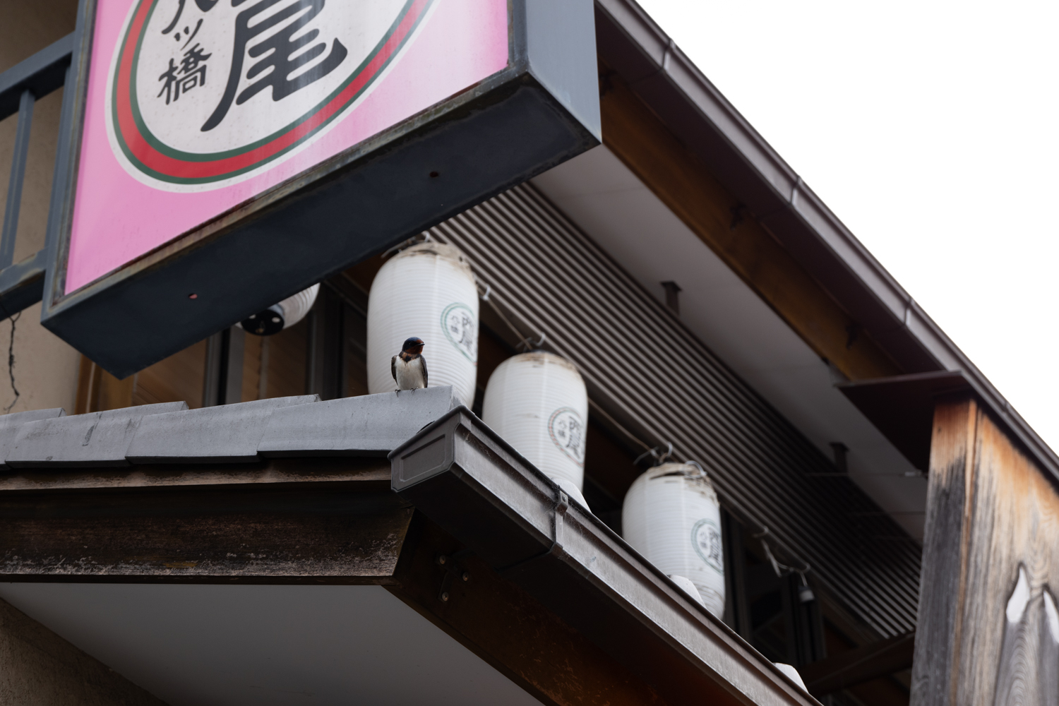 leica_cl_1856-1040699