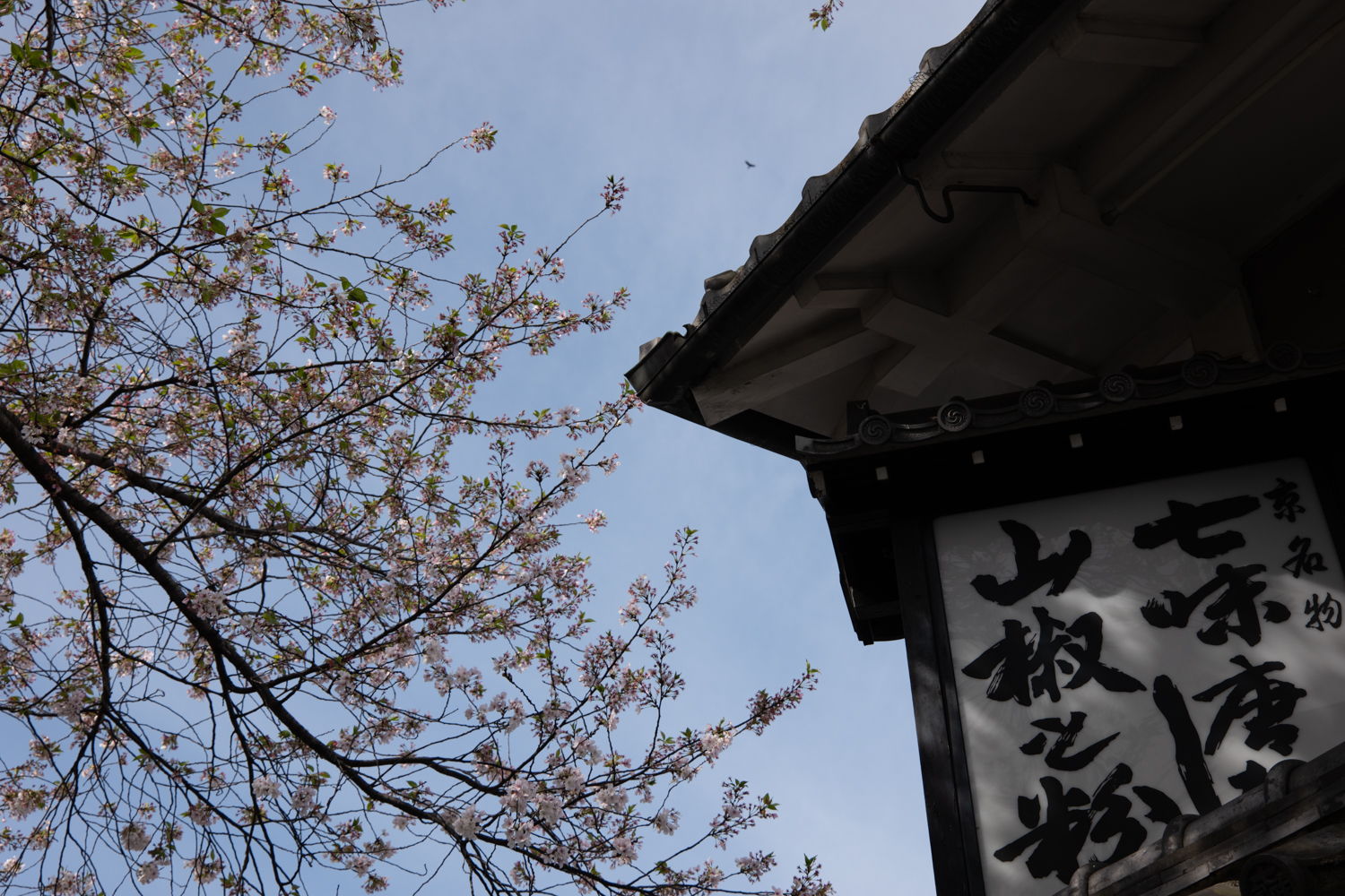 leica_cl_1856-1040780