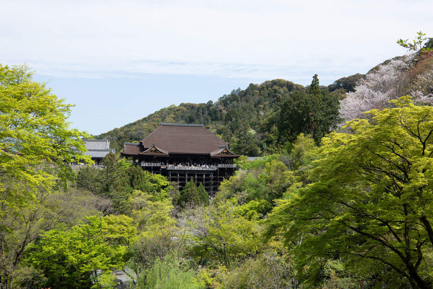 leica_cl_1856-1040781