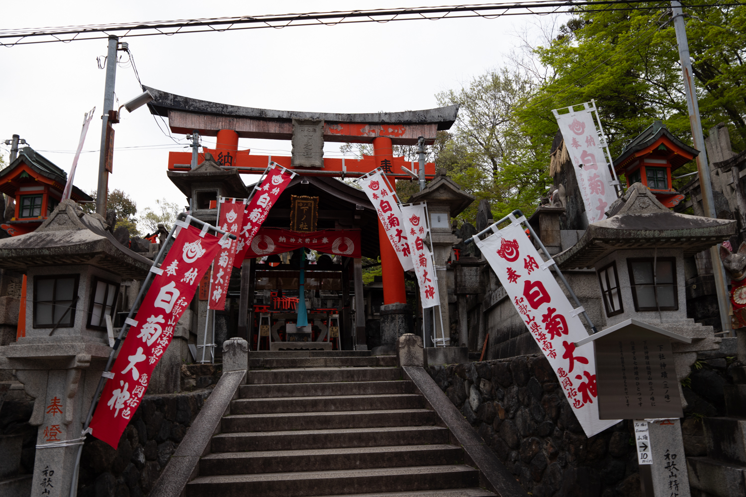 leica_cl_1856-1040879