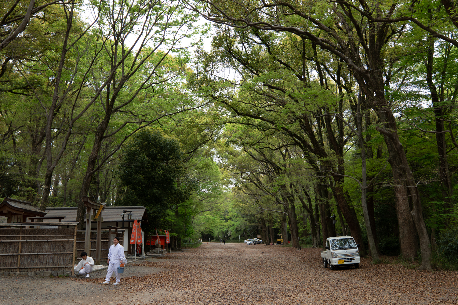 leica_cl_1856-1040950