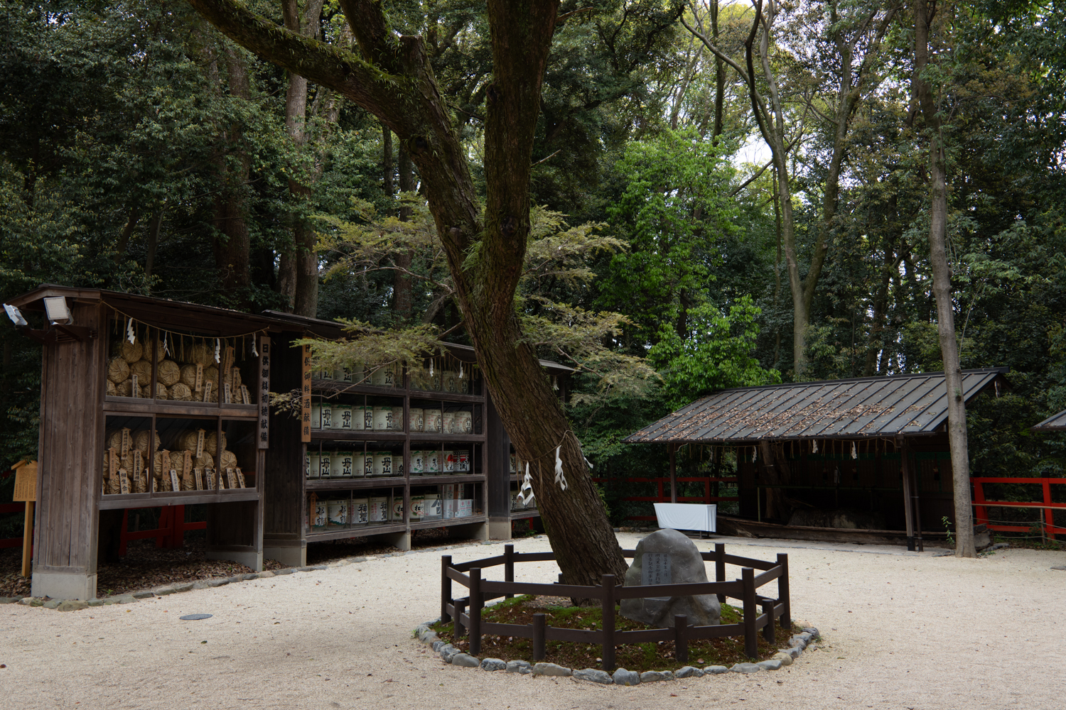 leica_cl_1856-1040961