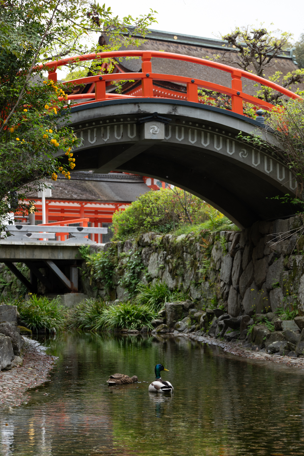 leica_cl_1856-1040976