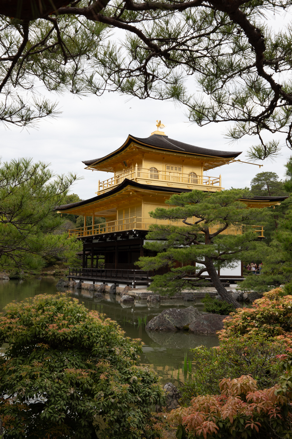 leica_cl_1856-1050019