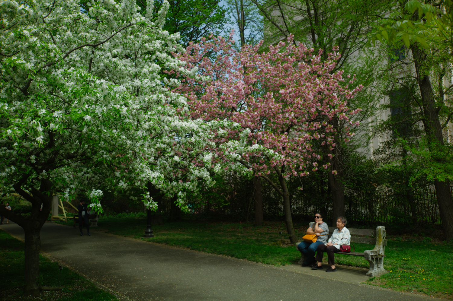 leica-m9p-canon-28-ltm-9987146