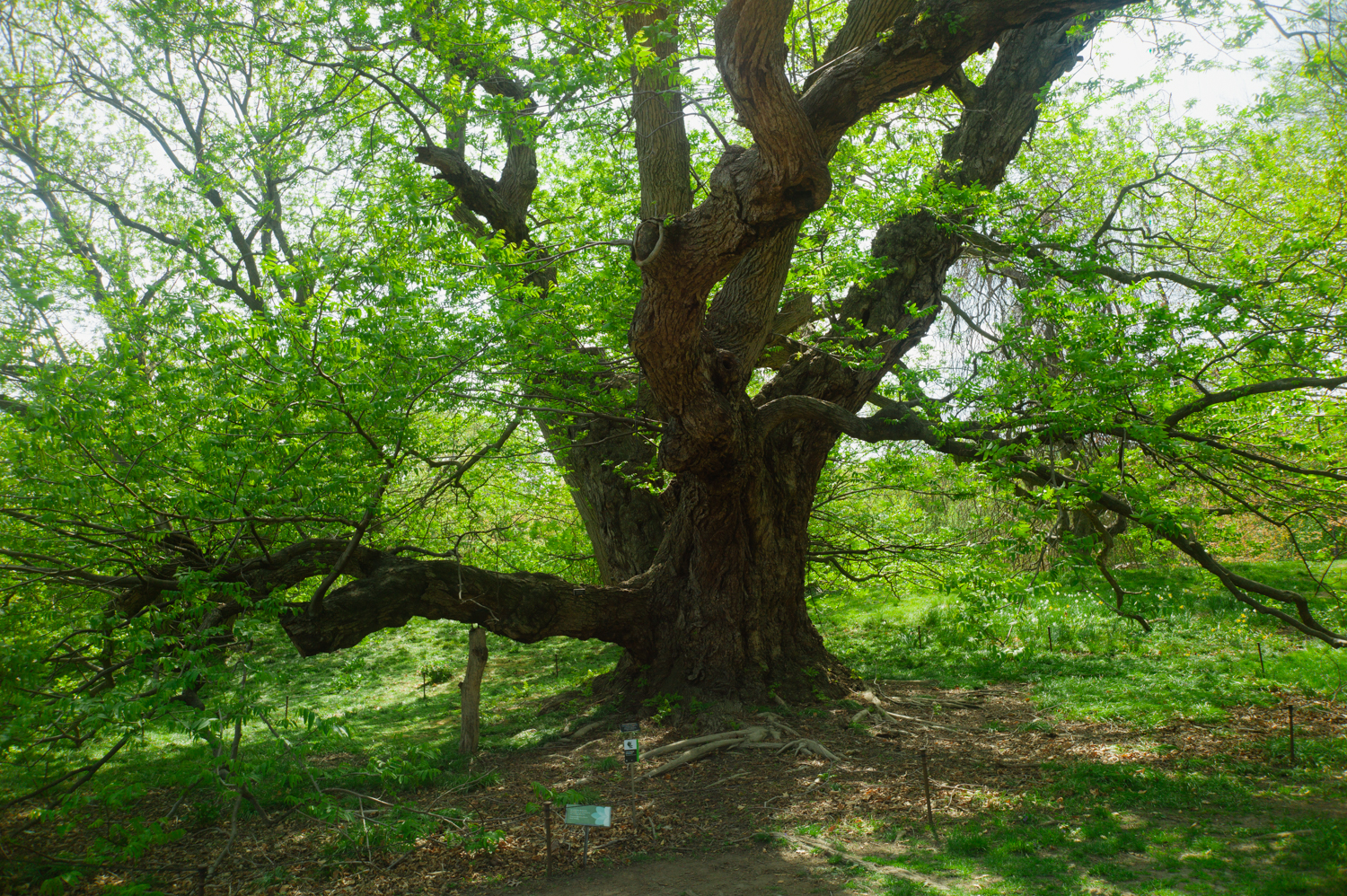 leica-m9p-canon-28-ltm-9987209