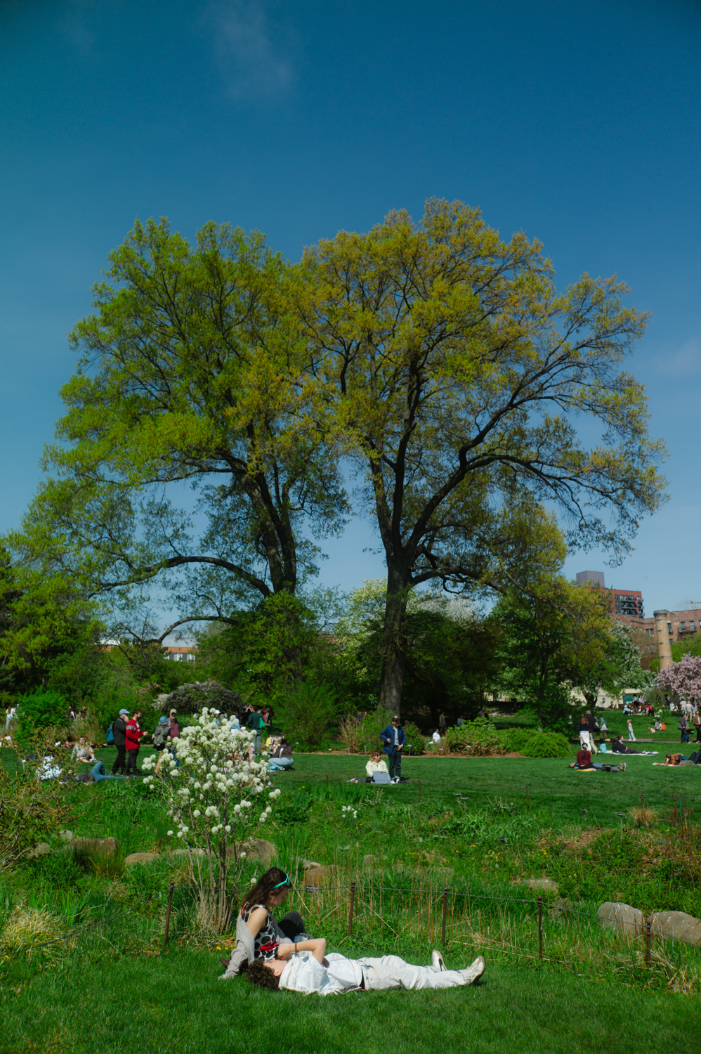 leica-m9p-canon-28-ltm-9987225