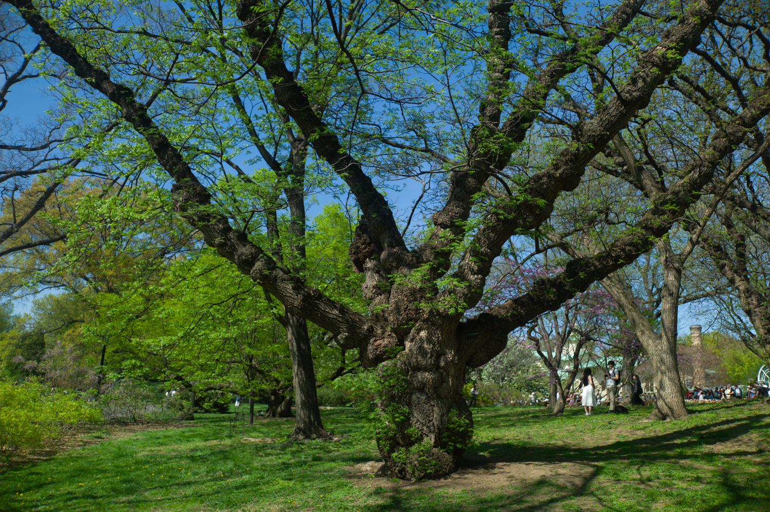 leica-m9p-canon-28-ltm-9987235