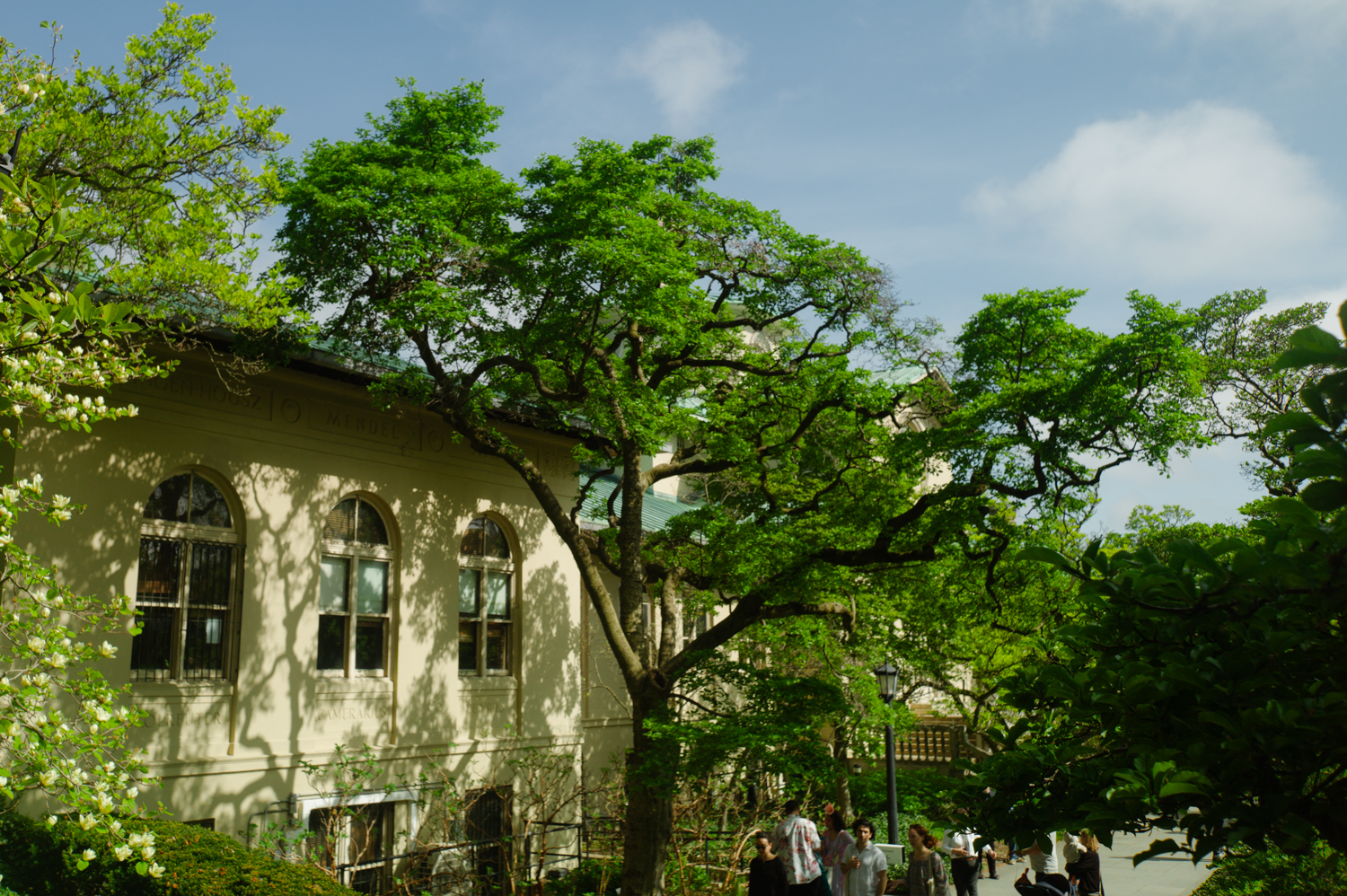 leica-m9p-canon-28-ltm-9987262