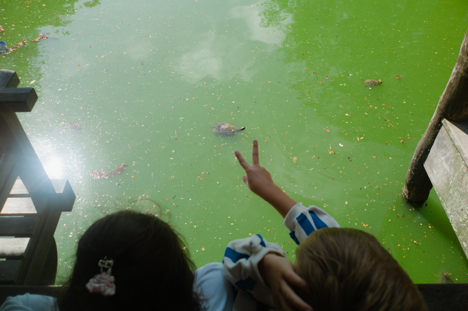 leica-m9p-canon-28-ltm-9987269