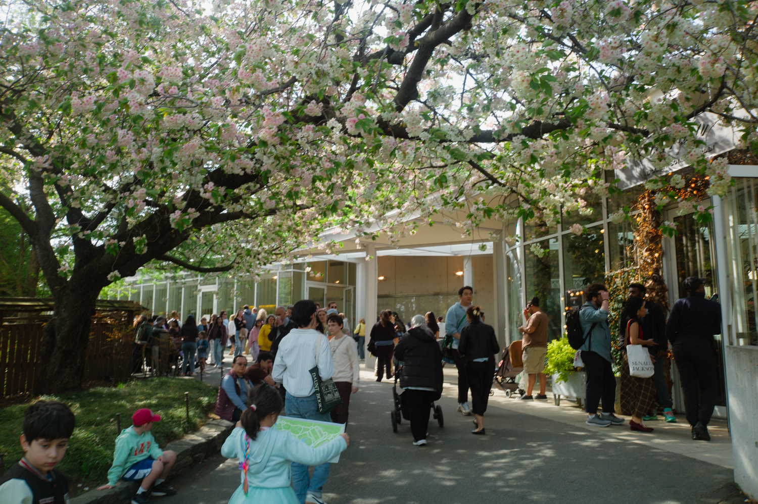 leica-m9p-canon-28-ltm-9987275