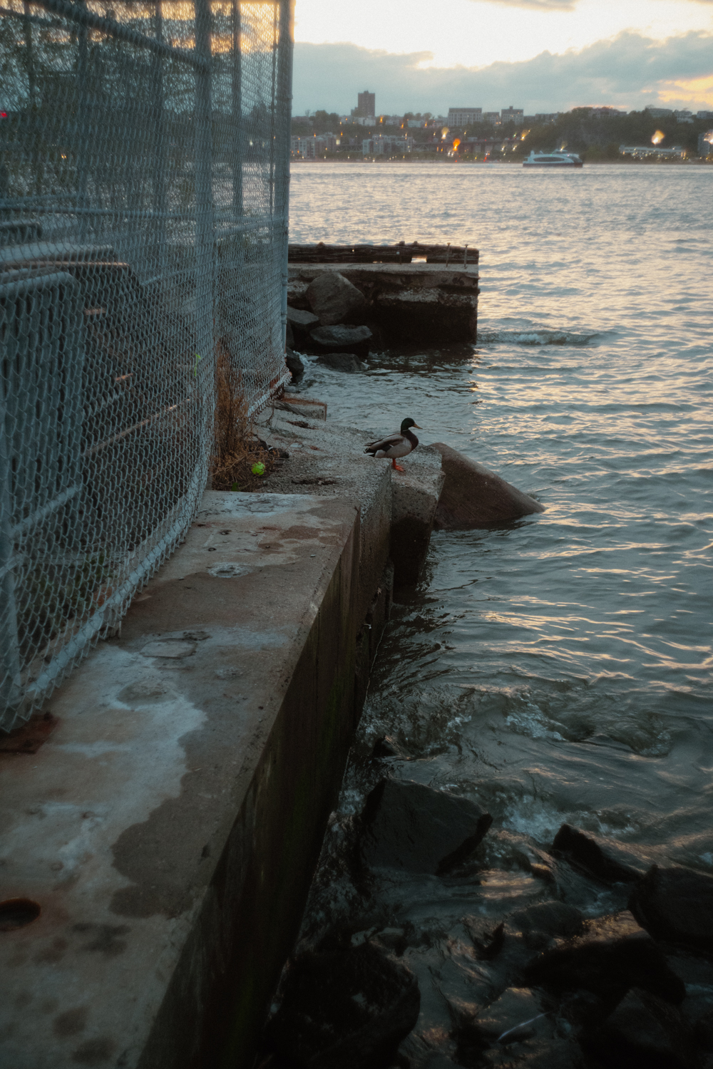 leica-cl-canon-28-ltm-1050318