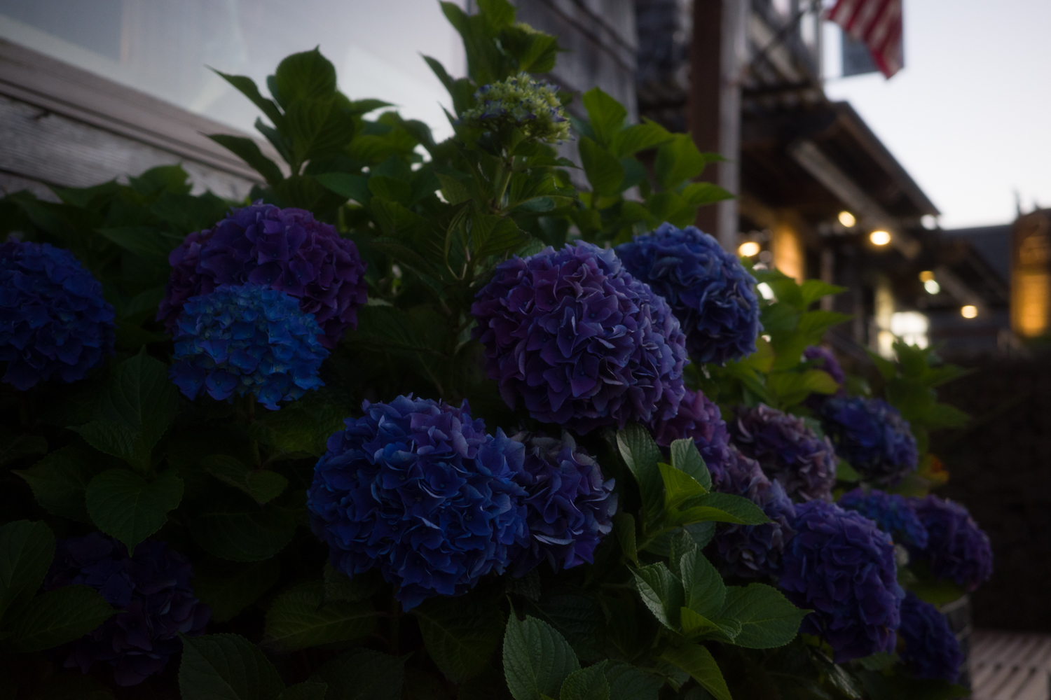 ricoh-gr3x-0006883