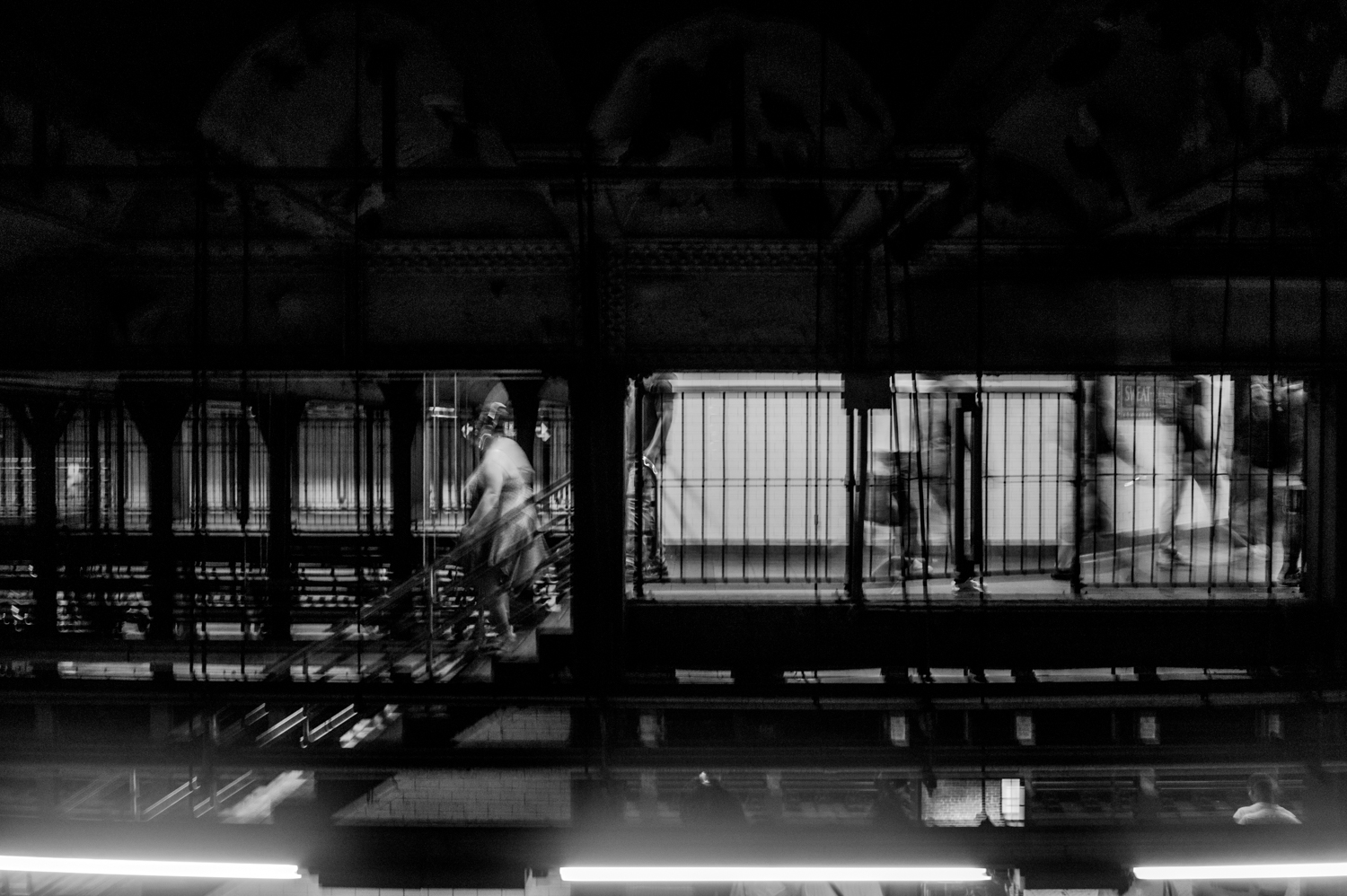 leica-m9p-canon-28-ltm-9987401