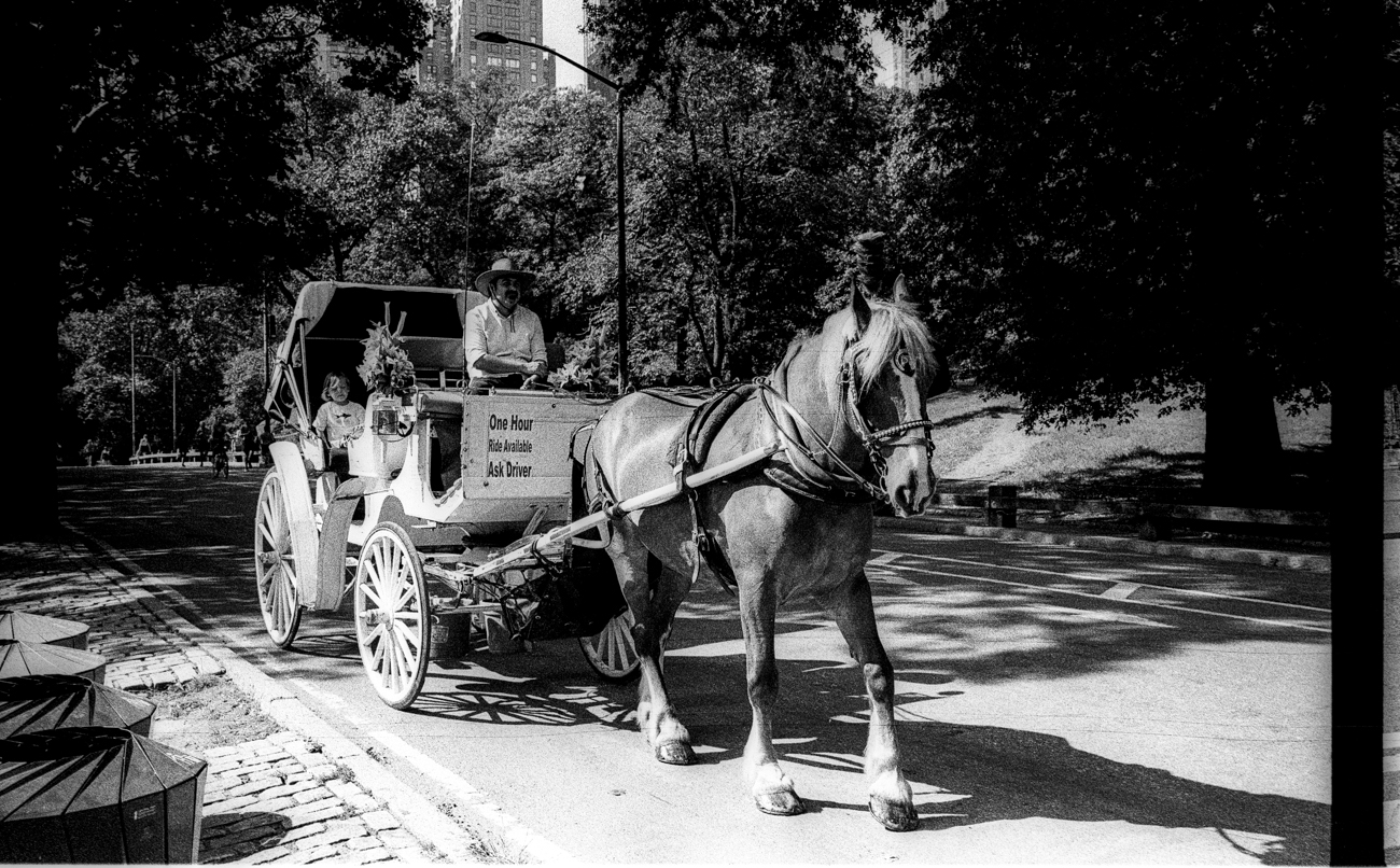 LeicaM3_ilford_hp5-0022-positive-2