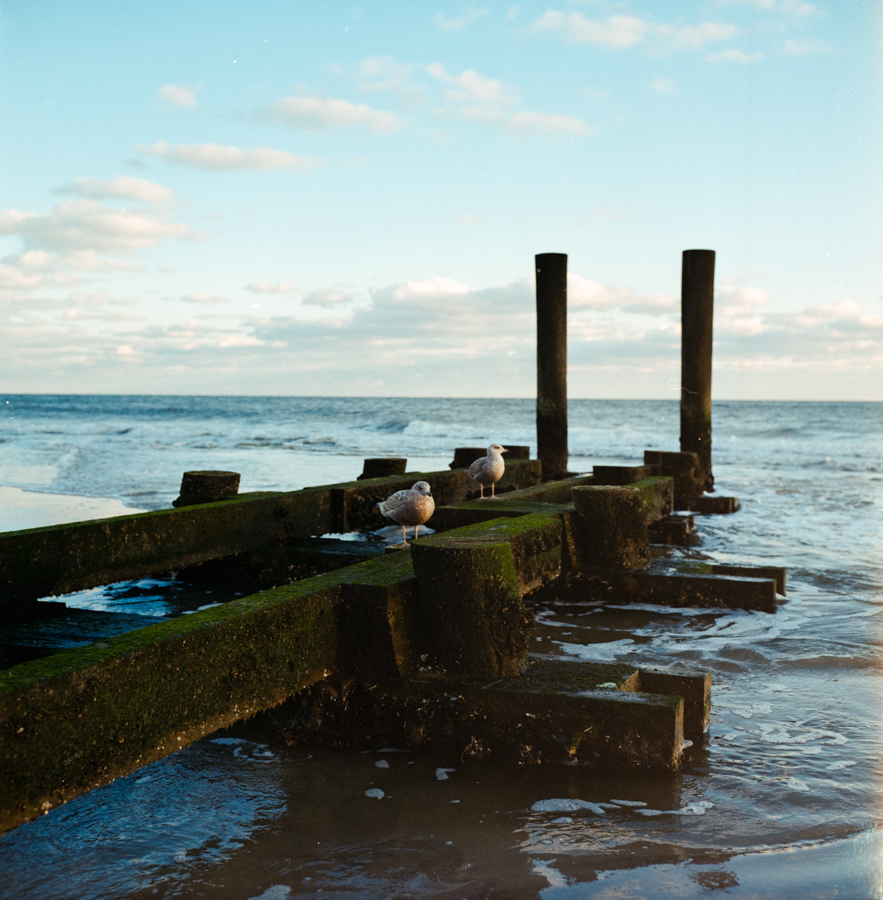 pentax_k1ii_scan_rolleiflex_35f-2667-positive