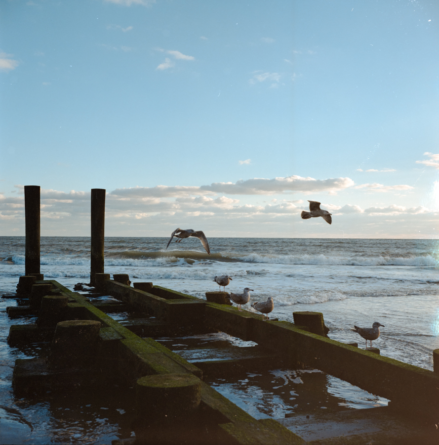 pentax_k1ii_scan_rolleiflex_35f-2671-positive