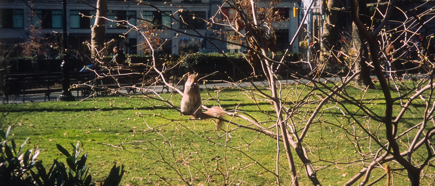 2020-leica-m3-fuji-rdpiii-036