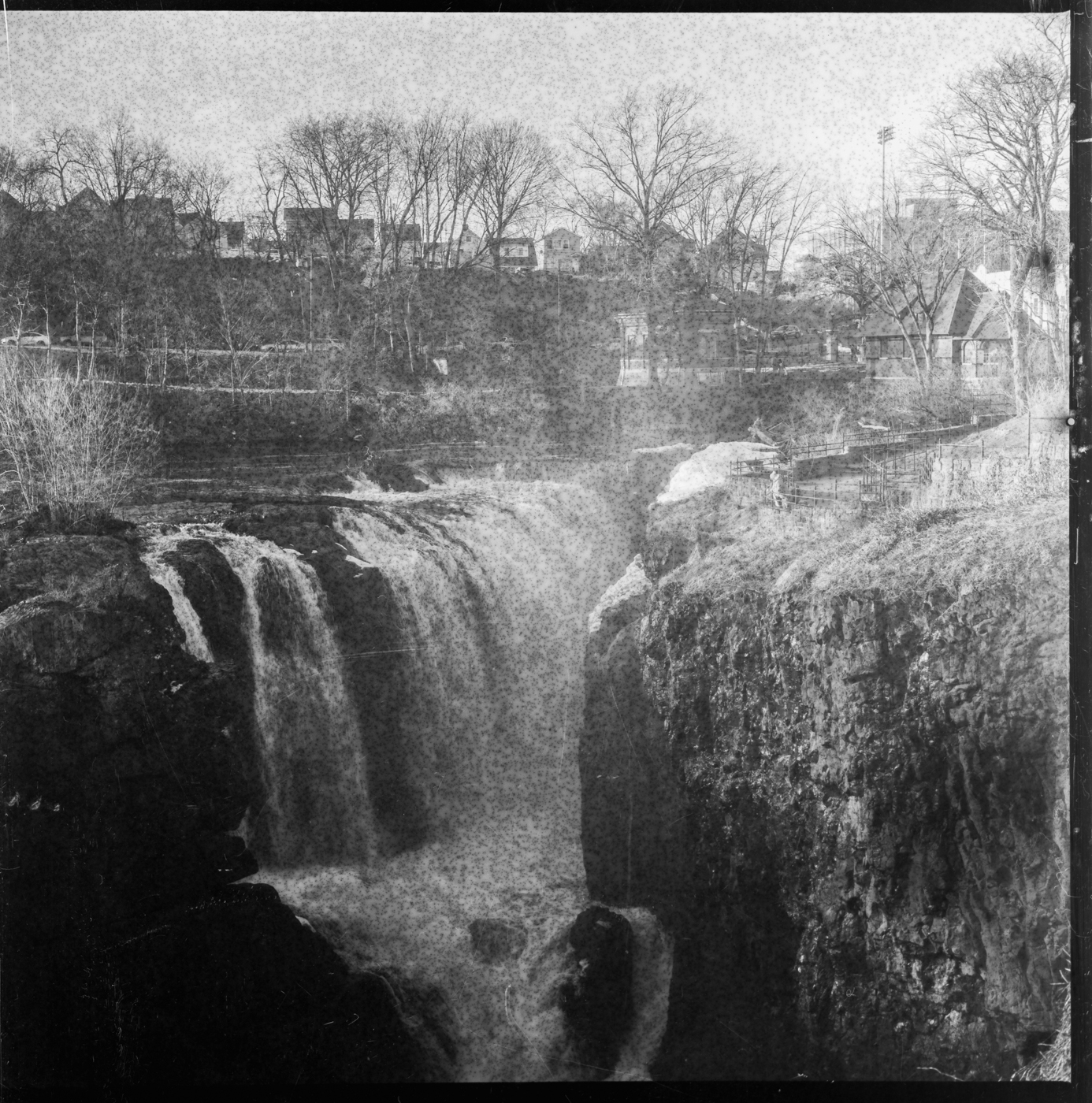 Rolleiflex-28C-Lucky-1025-iso50-3217-positive