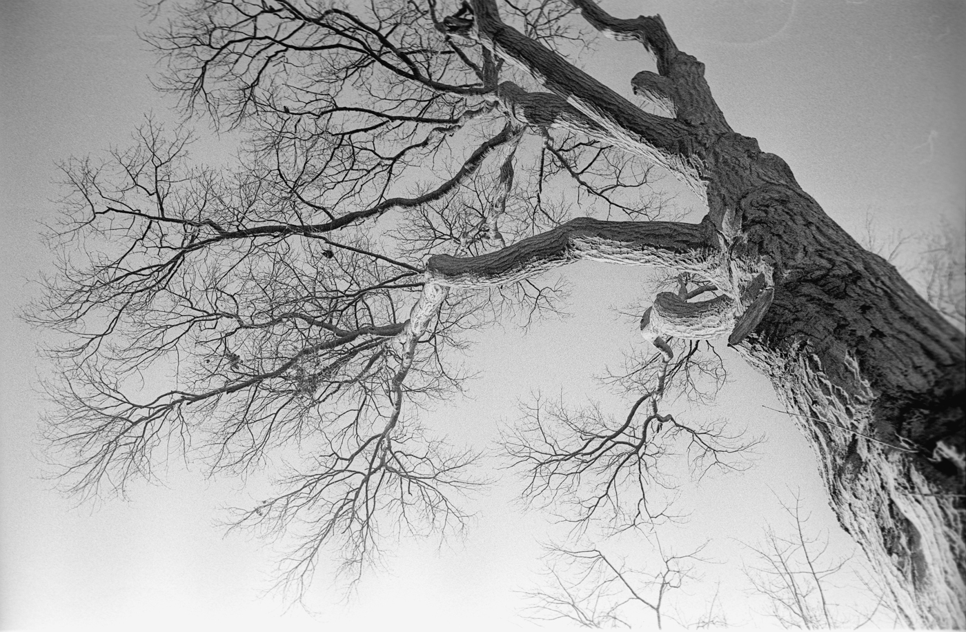 leica_m3_canon_28_28_kodak_5222-013-positive