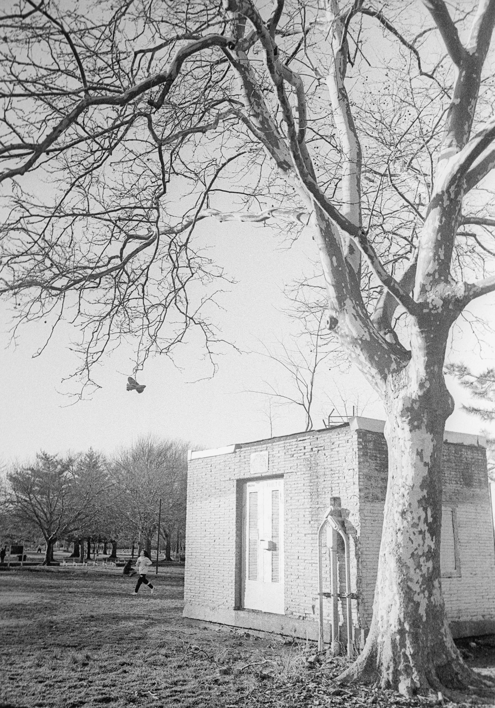 leica_m3_canon_28_28_kodak_5222-017-positive