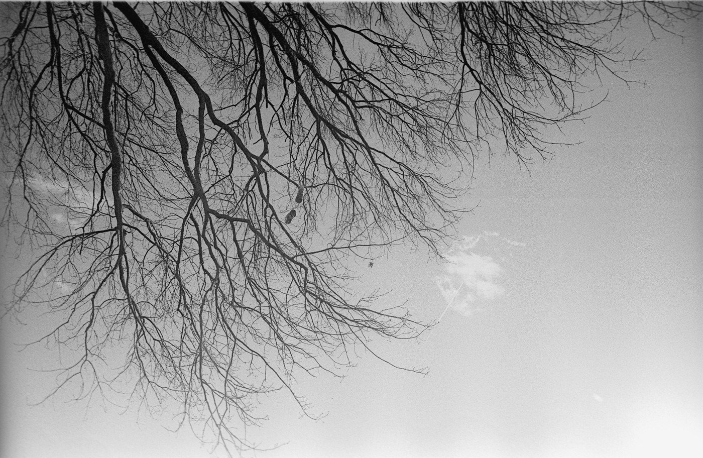 leica_m3_canon_28_28_kodak_5222-022-positive