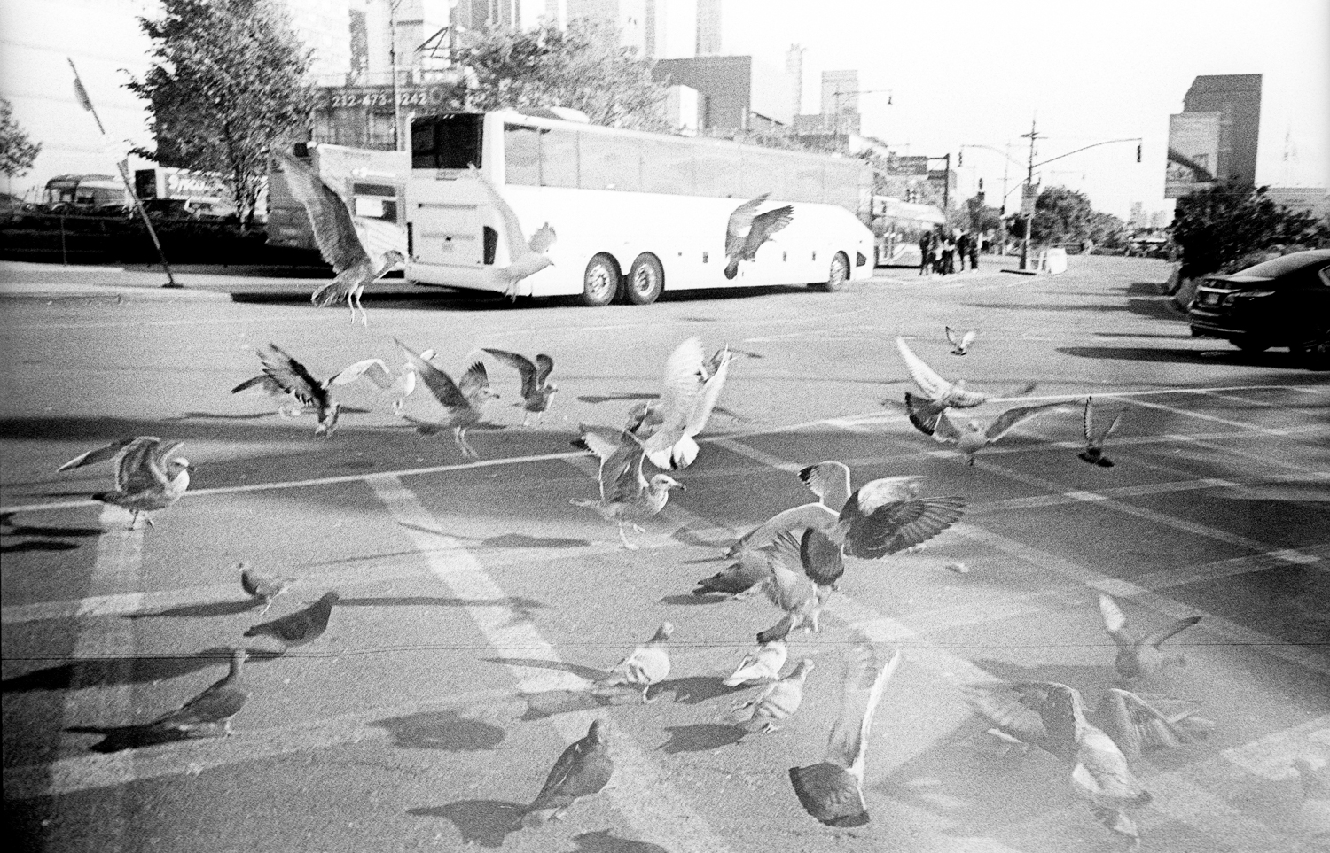 leica-m3-canon-28-ltm-kodak-5222-040-positive