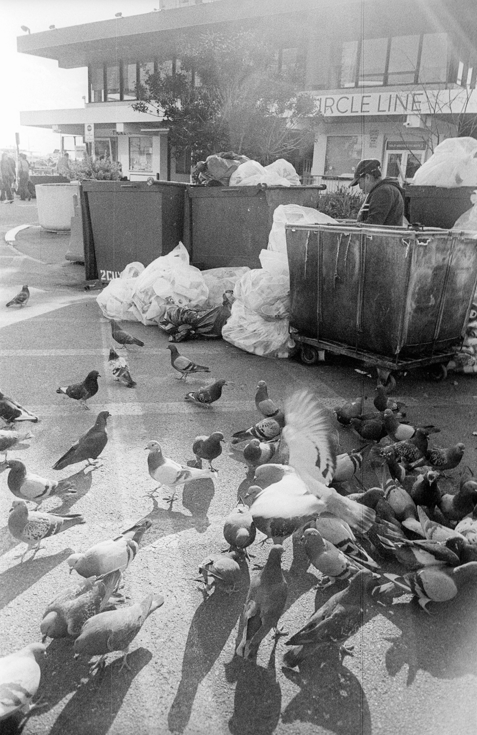 leica-m3-canon-28-ltm-kodak-5222-041-positive