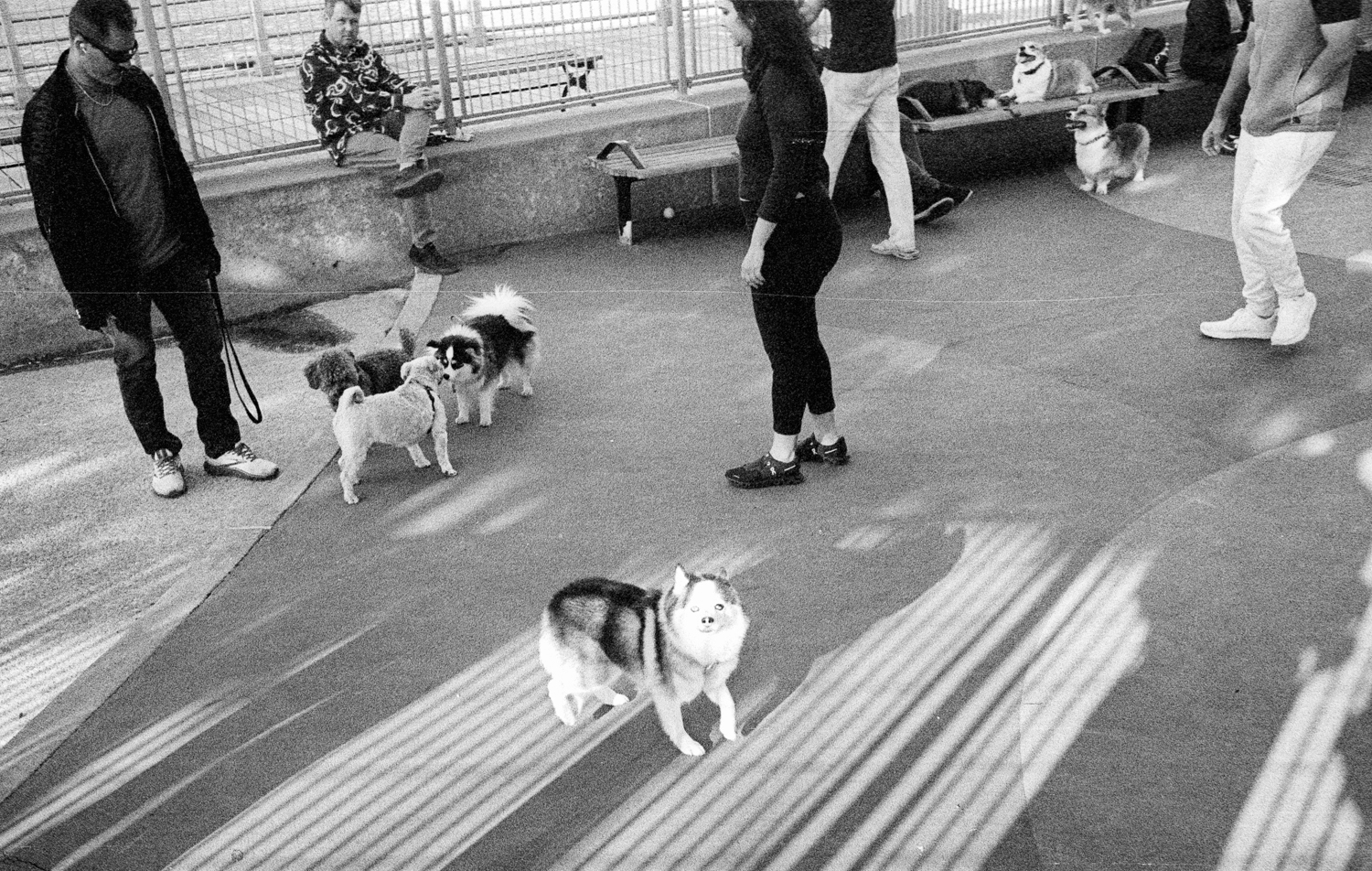 leica-m3-canon-28-ltm-kodak-5222-064-positive