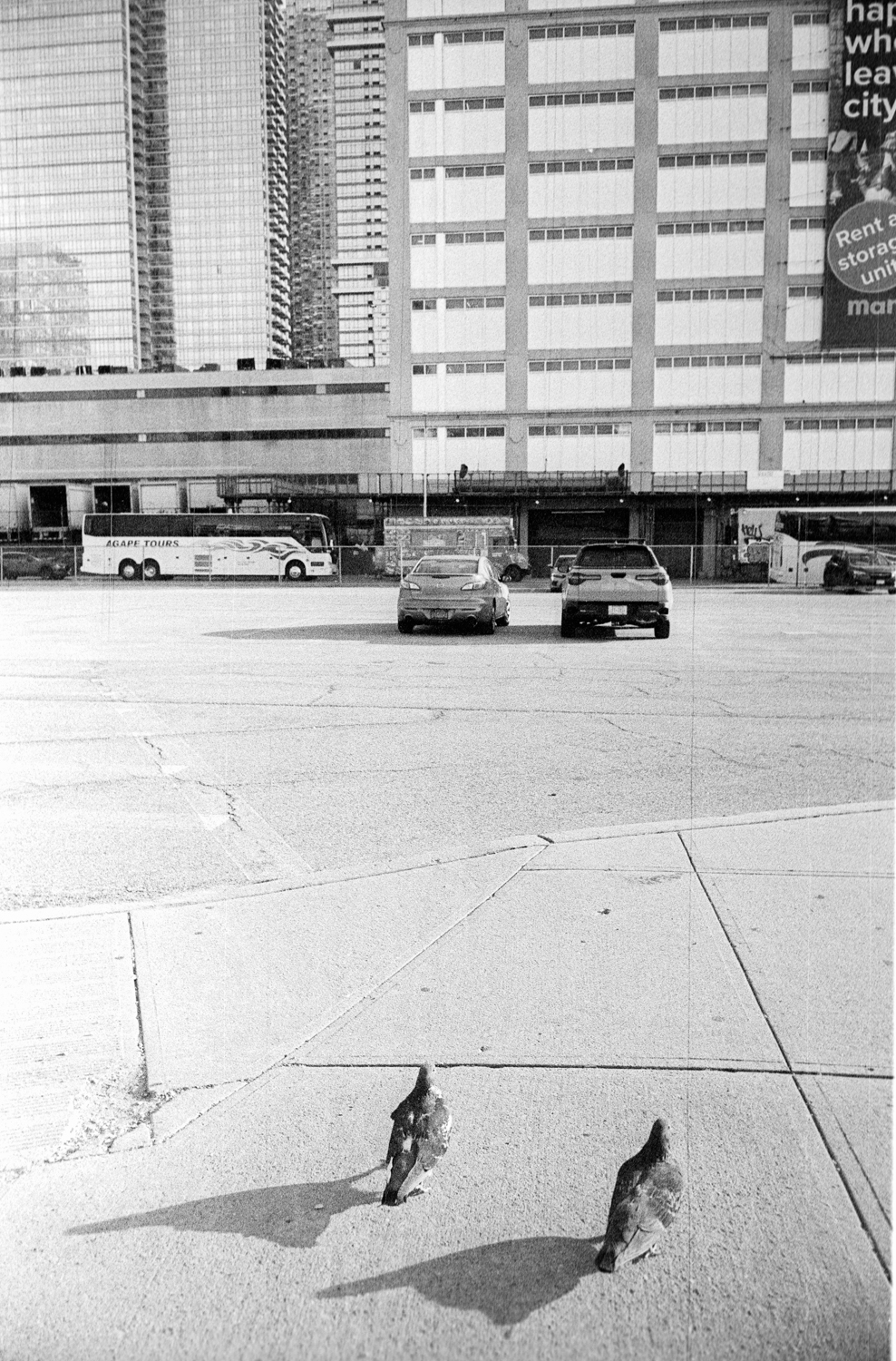 leica-m3-canon-28-ltm-kodak-5222-074-positive