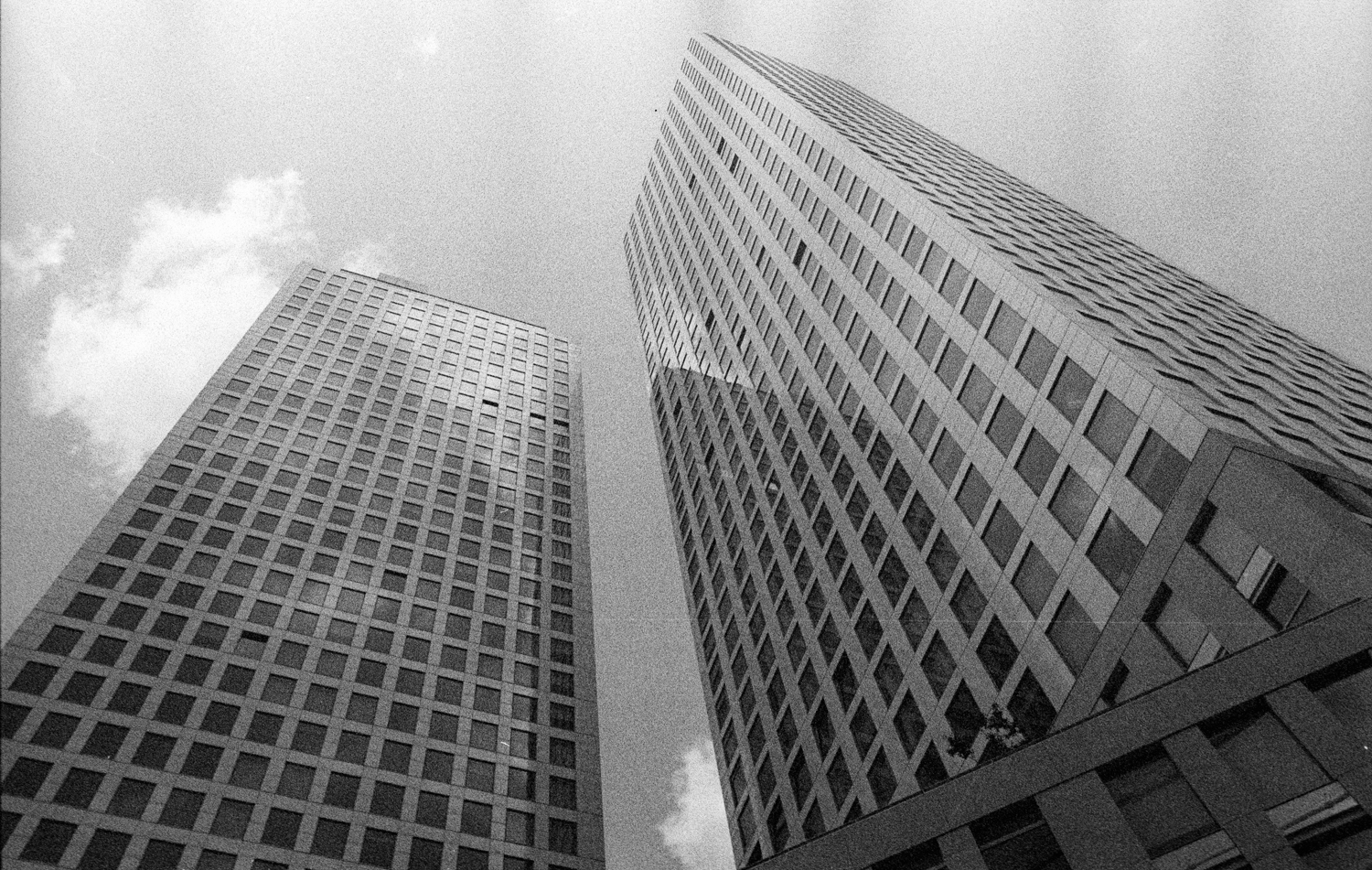 pentax-lx-fa31-limited-kodak-tri-x-15-positive