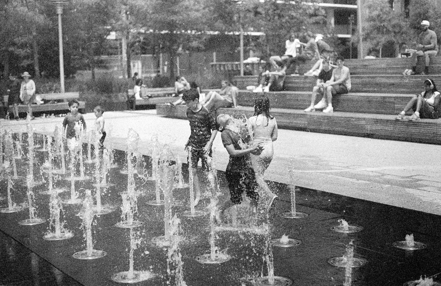 pentax-lx-leica-r50-f2-e43-kodak-tri-x-15-positive