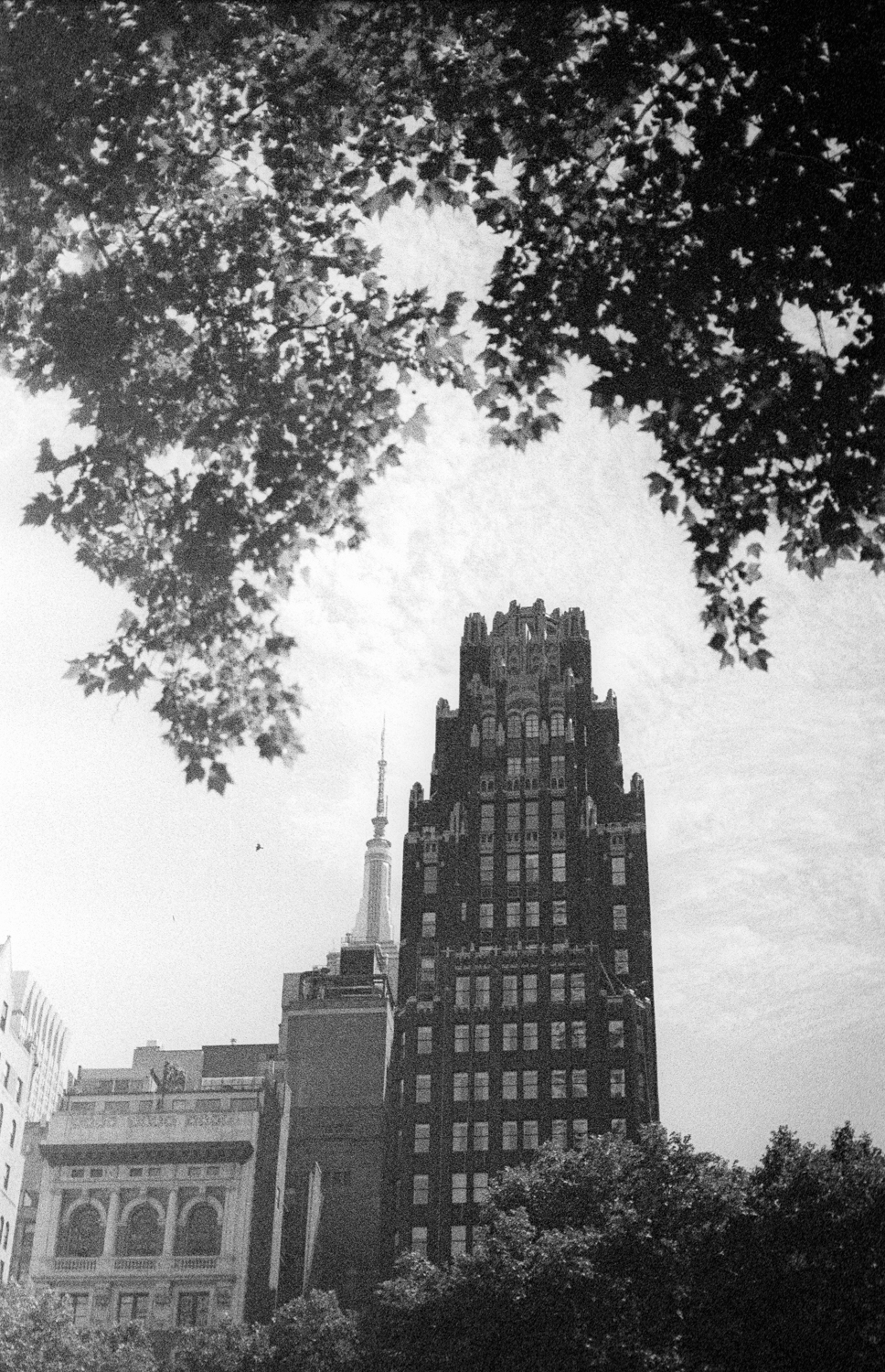pentax-lx-septon-kodak-tri-x-15-positive