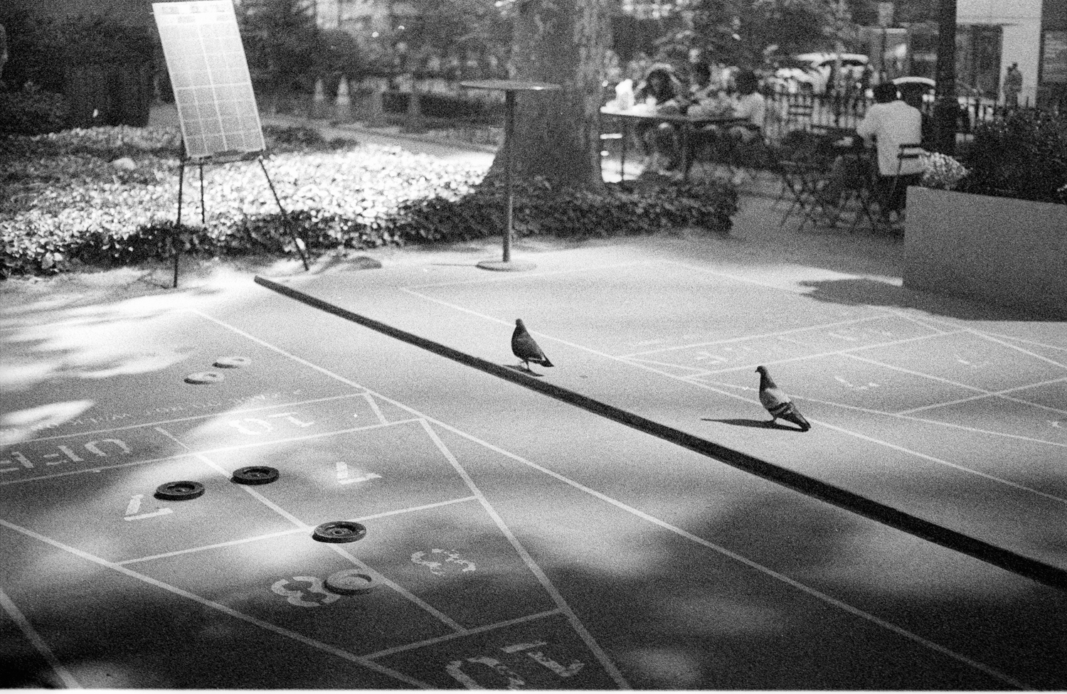 pentax-lx-septon-kodak-tri-x-37-positive