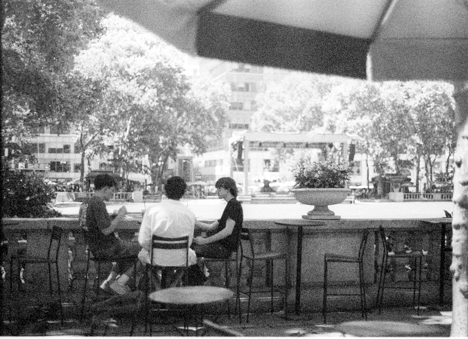 pentax-lx-contax-planar-kodak-tri-x-11-positive