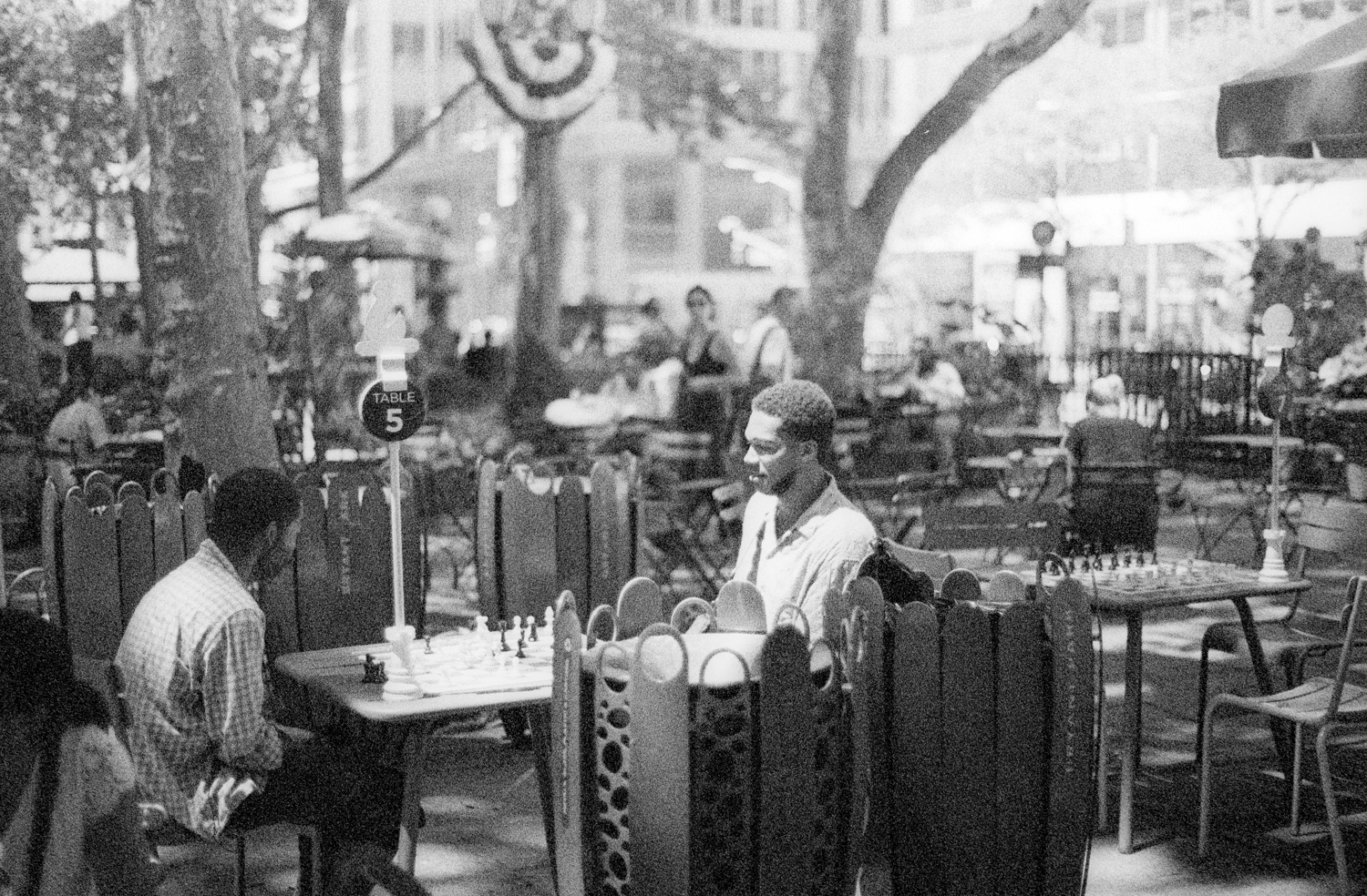 pentax-lx-contax-planar-kodak-tri-x-16-positive