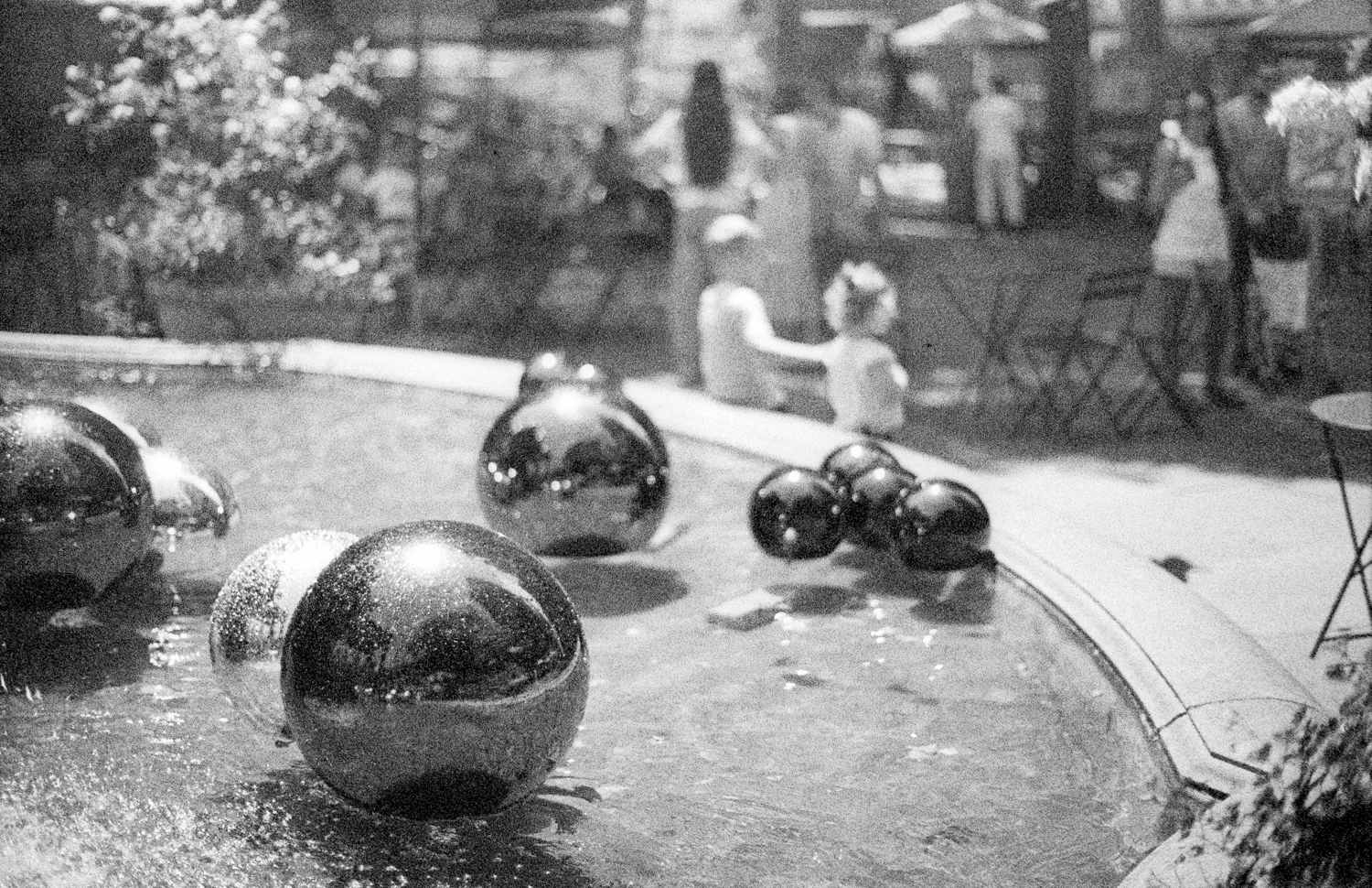 pentax-lx-contax-planar-kodak-tri-x-21-positive