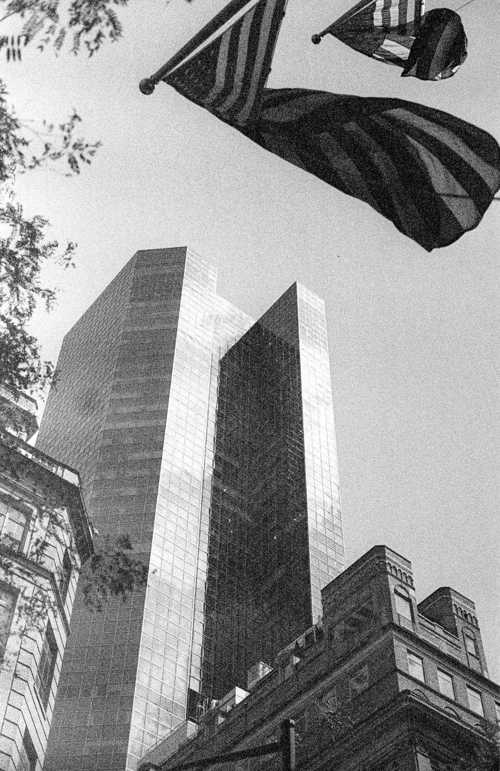 pentax-lx-leica-R50-e43-kodak-tri-x-08-positive