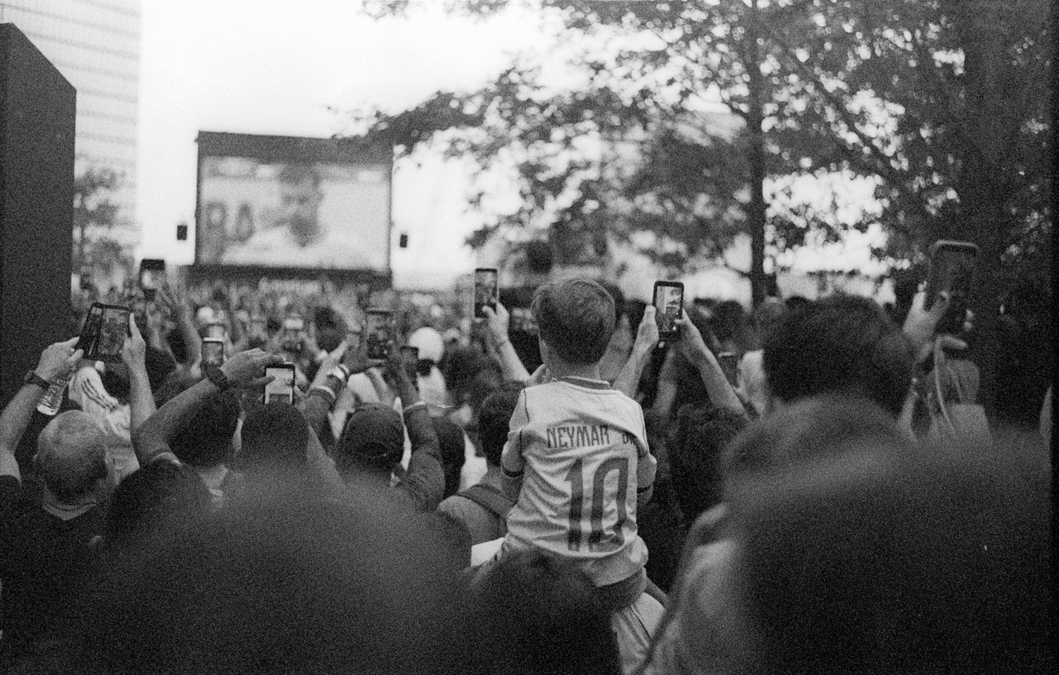 pentax-lx-kodak-tri-x-zeiss-28-positive