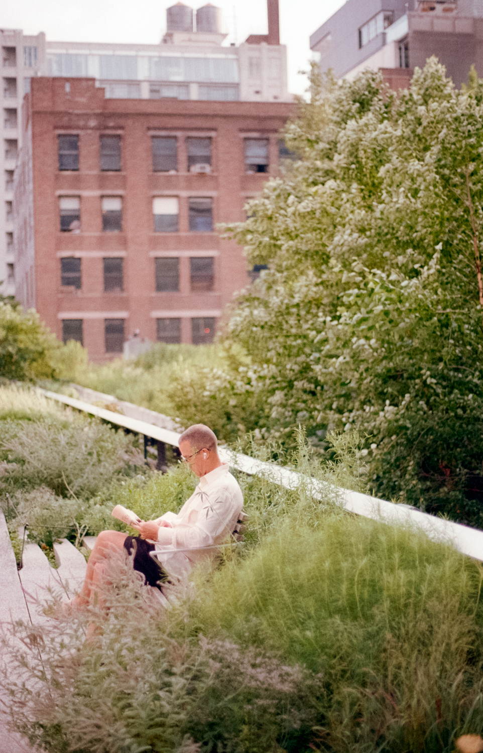 pentax-lx-kodak-gold-200-contax-planar-27-positive