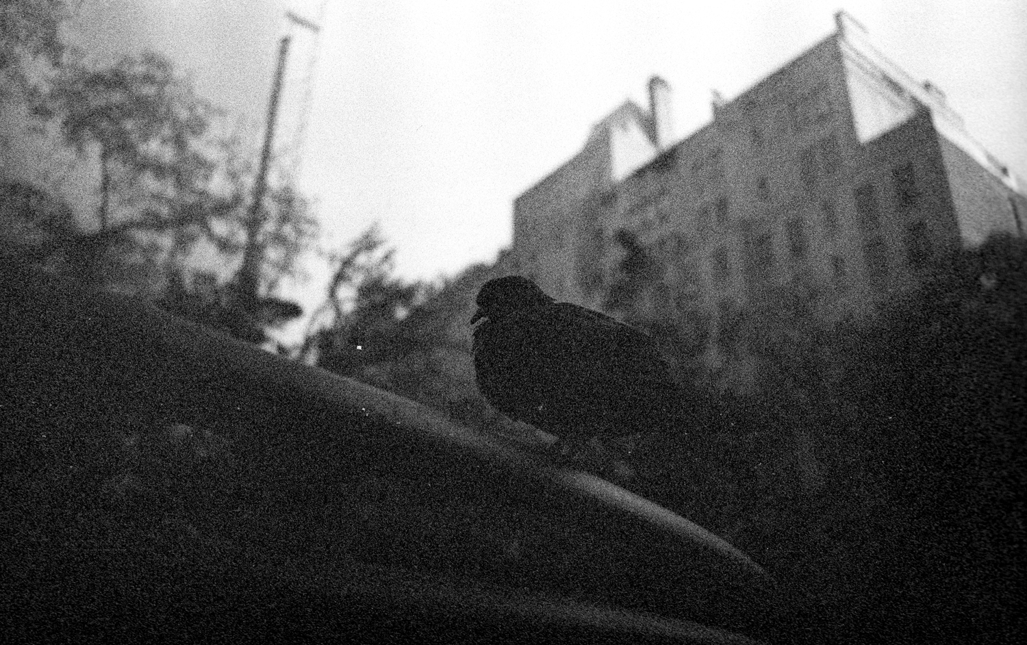 leica-m3-vm-28-28-32-positive