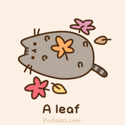 2018/2018-03/2018-03-26.gif